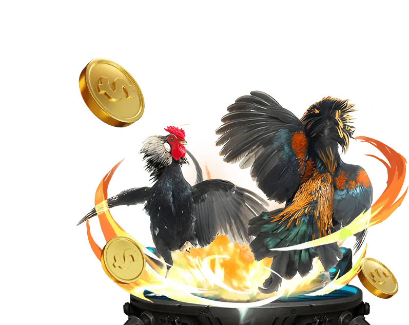 Đá Gà Cựa Sắt/Dao